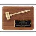 PG1686  Plaque with Bronze Gavel